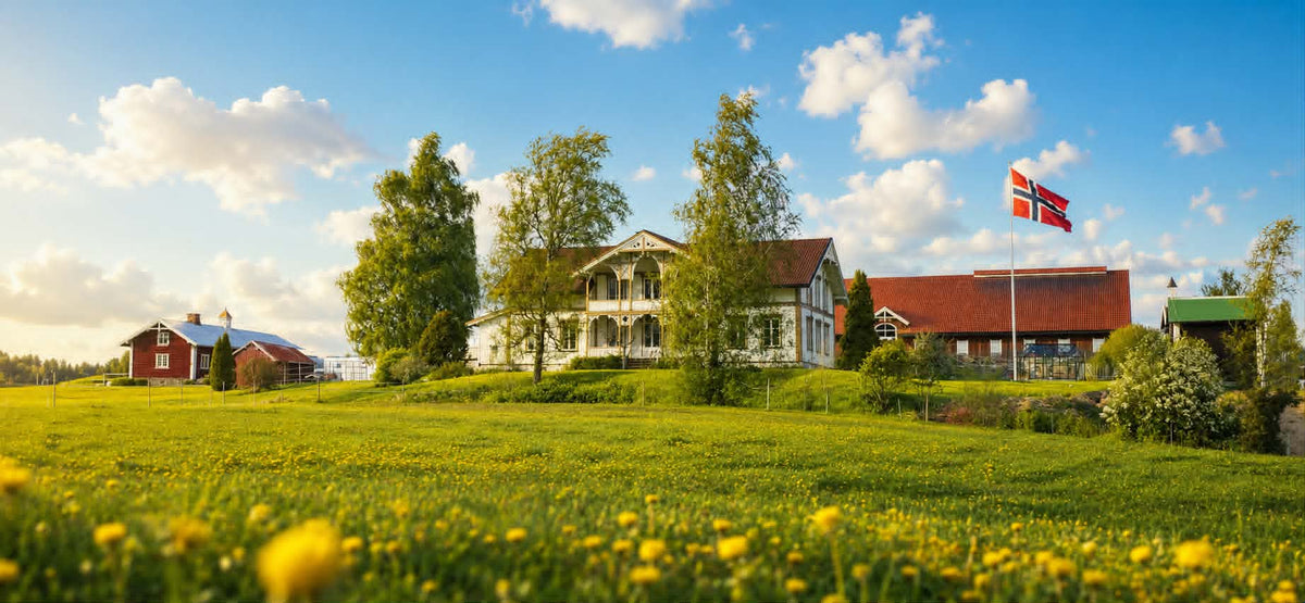 Kurs i healing og tilstedeværelse med hester
