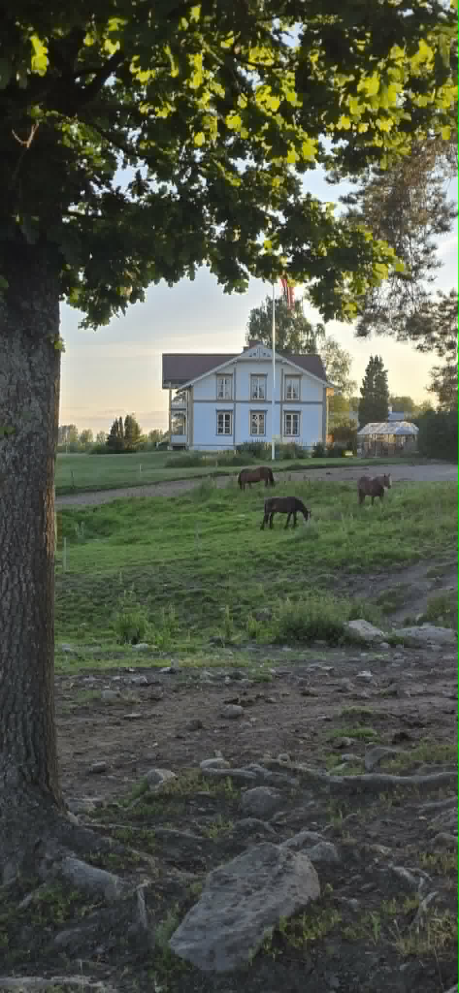 Kurs i healing og tilstedeværelse med hester
