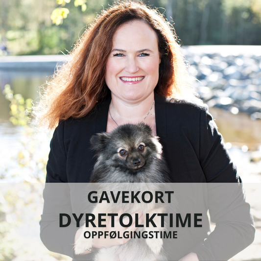 Gavekort Dyretolk oppfølgingstime