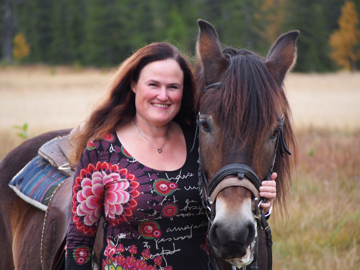 Kurs i healing og tilstedeværelse med hester
