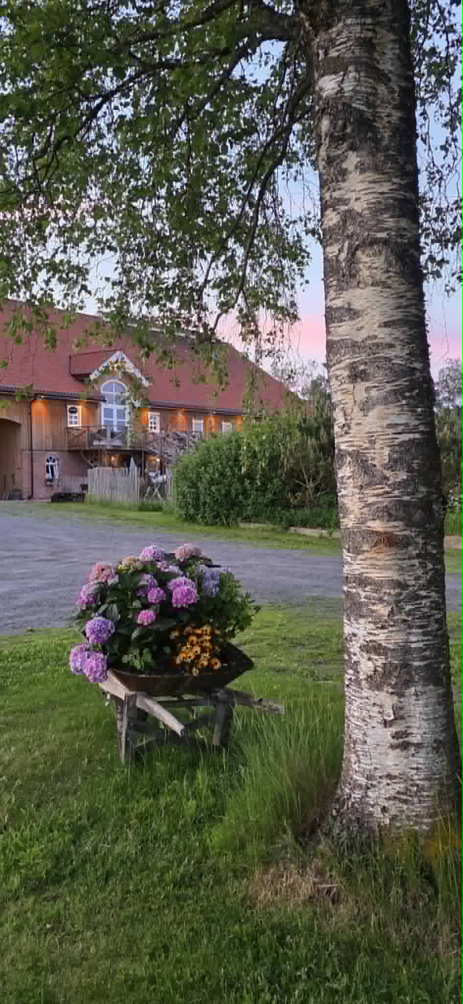 Kurs i healing og tilstedeværelse med hester