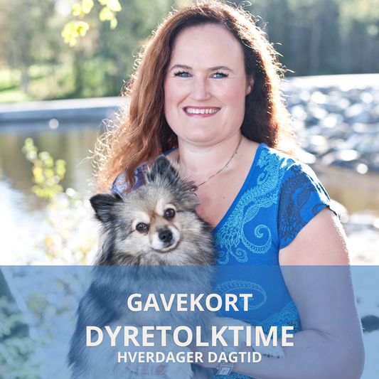 Gavekort dyretolktime